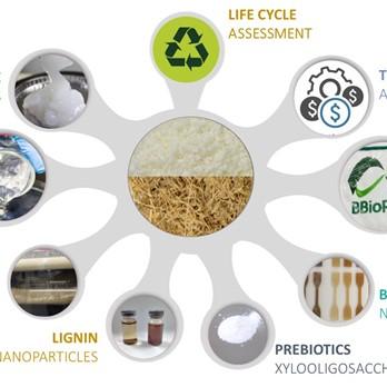 Nanotechnology for Food Industry: Nanomaterials from biomass